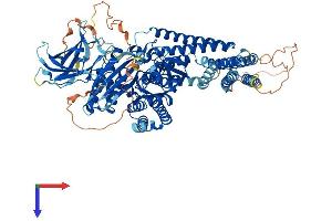 AlphaFold protein structure predicition of Human Recombinant INPP4B Protein, UniprotID O15327