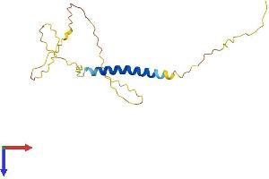 AlphaFold protein structure predicition of Mouse Recombinant Gypa Protein, UniprotID P14220