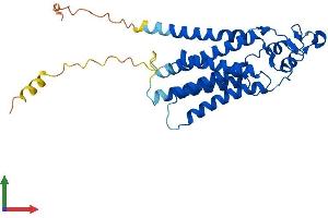AlphaFold protein structure predicition of Mouse Recombinant Plpp3 Protein, UniprotID Q99JY8