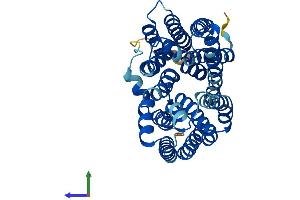 AlphaFold protein structure predicition of Mouse Recombinant Slc22a18 Protein, UniprotID Q78KK3