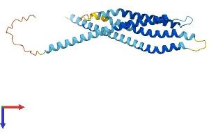 AlphaFold protein structure predicition of Mouse Recombinant Orai2 Protein, UniprotID Q8BH10