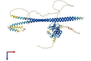 AlphaFold protein structure predicition of Mouse Recombinant Rasef Protein, UniprotID Q5RI75