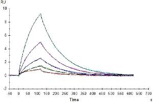 Anti-CD38 Antibody captured on Protein A chip, can bind Human CD38, His Tag with an affinity constant of 0.