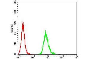 Flow cytometric analysis of HepG2 cells using NR1I2 mouse mAb (green) and negative control (red).