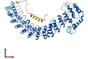AlphaFold protein structure predicition of Mouse Recombinant Asb14 Protein, UniprotID Q8C6Y6