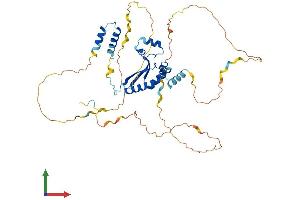AlphaFold protein structure predicition of Human Recombinant KHDRBS1 Protein, UniprotID Q07666