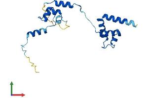 AlphaFold protein structure predicition of Mouse Recombinant Nop16 Protein, UniprotID Q9CPT5