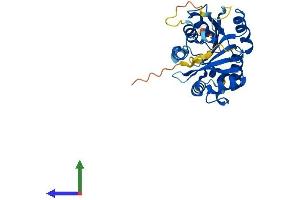 AlphaFold protein structure predicition of Mouse Recombinant Bcdin3d Protein, UniprotID Q91YP1