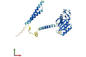 AlphaFold protein structure predicition of Human Recombinant MED27 Protein, UniprotID Q6P2C8