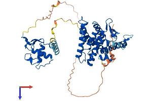 AlphaFold protein structure predicition of Human Recombinant NR1H3 Protein, UniprotID Q13133