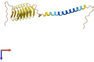 AlphaFold protein structure predicition of Mouse Recombinant Krtap5-3 Protein, UniprotID Q9D226