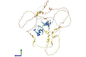 AlphaFold protein structure predicition of Human Recombinant GATA2 Protein, UniprotID P23769