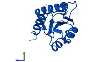 AlphaFold protein structure predicition of Human Recombinant SNU13 Protein, UniprotID P55769