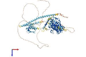 AlphaFold protein structure predicition of Human Recombinant OSBP2 Protein, UniprotID Q969R2