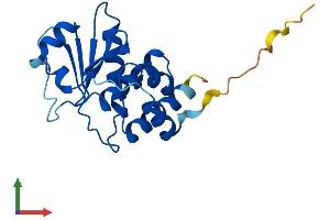 AlphaFold protein structure predicition of Mouse Recombinant Dusp13a Protein, UniprotID Q6B8I0
