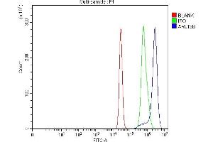 anti-ADP-Ribosylation Factor-Like 13B (ARL13B) (AA 16-428) antibody