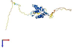 AlphaFold protein structure predicition of Human Recombinant EDARADD Protein, UniprotID Q8WWZ3