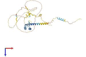 AlphaFold protein structure predicition of Human Recombinant NKX6-1 Protein, UniprotID P78426