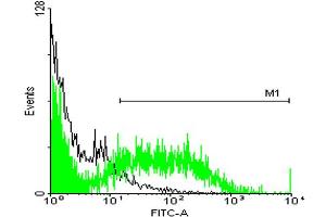 FACS analysis of TOV-21G cells stained with STIP1 monoclonal antibody clone 2E1 (Green) and non-stained TOV-21G cells (Black) as negative control. (STIP1 anticorps  (AA 1-543))