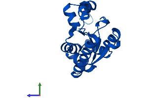 AlphaFold protein structure predicition of Mouse Recombinant Ak6 Protein, UniprotID Q8VCP8