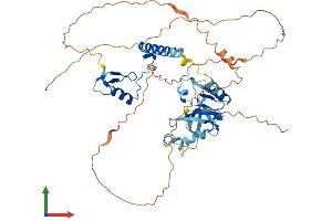 AlphaFold protein structure predicition of Human Recombinant ZNHIT6 Protein, UniprotID Q9NWK9