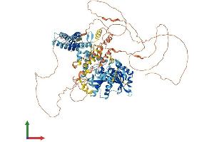 AlphaFold protein structure predicition of Human Recombinant DAGLA Protein, UniprotID Q9Y4D2