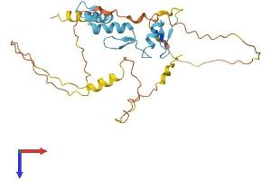 AlphaFold protein structure predicition of Human Recombinant OSR1 Protein, UniprotID Q8TAX0