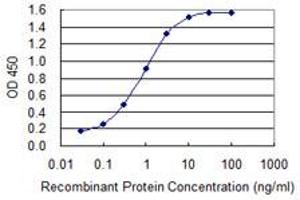 Detection limit for recombinant GST tagged LETM1 is 0. (LETM1 anticorps  (AA 601-708))