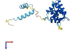 AlphaFold protein structure predicition of Mouse Recombinant Ropn1 Protein, UniprotID Q9ESG2