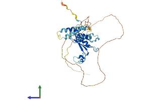 AlphaFold protein structure predicition of Human Recombinant QKI Protein, UniprotID Q96PU8