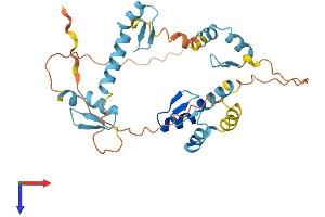 AlphaFold protein structure predicition of Human Recombinant ZNF346 Protein, UniprotID Q9UL40