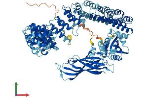 AlphaFold protein structure predicition of Mouse Recombinant Copg2 Protein, UniprotID Q9QXK3