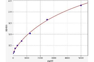 Platelet-Derived Growth Factor Receptor-Like (PDGFRL) ELISA Kit