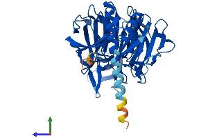 AlphaFold protein structure predicition of Human Recombinant KLHDC1 Protein, UniprotID Q8N7A1