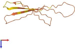AlphaFold protein structure predicition of Human Recombinant LINC01587 Protein, UniprotID Q99440
