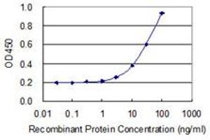 Detection limit for recombinant GST tagged C5AR1 is 1 ng/ml as a capture antibody. (C5AR1 anticorps  (AA 1-350))