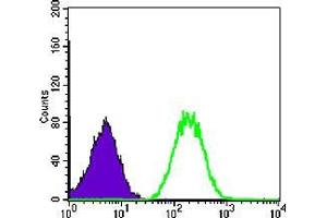 Flow cytometric analysis of NIH/3T3 cells using BLNK mouse mAb (green) and negative control (purple).
