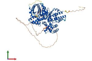 AlphaFold protein structure predicition of Human Recombinant CHAT Protein, UniprotID P28329