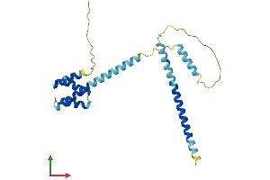 AlphaFold protein structure predicition of Human Recombinant CCDC43 Protein, UniprotID Q96MW1