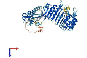 AlphaFold protein structure predicition of Human Recombinant PRAME Protein, UniprotID P78395