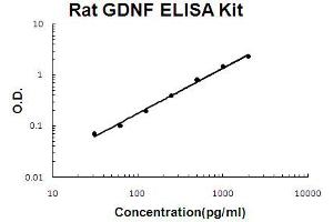 Rat GDNF Accusignal ELISA Kit Rat GDNF AccuSignal ELISA Kit standard curve. (GDNF Kit ELISA)