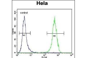 WFDC1 Antibody (C-term ) (ABIN656404 and ABIN2845698) flow cytometric analysis of Hela cells (right histogram) compared to a negative control cell (left histogram).