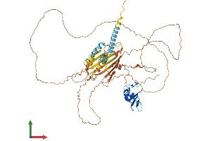 AlphaFold protein structure predicition of Mouse Recombinant Rlim Protein, UniprotID Q9WTV7