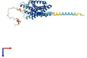 AlphaFold protein structure predicition of Human Recombinant OPRL1 Protein, UniprotID P41146