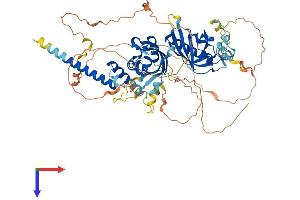 AlphaFold protein structure predicition of Mouse Recombinant Hif3a Protein, UniprotID Q0VBL6