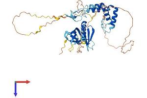 AlphaFold protein structure predicition of Mouse Recombinant Spred2 Protein, UniprotID Q924S7