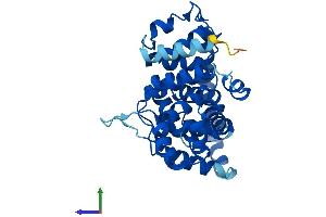 AlphaFold protein structure predicition of Human Recombinant TBC1D21 Protein, UniprotID Q8IYX1
