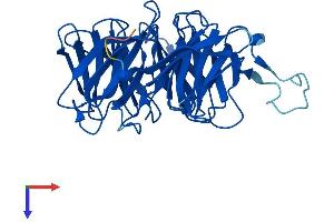 AlphaFold protein structure predicition of Human Recombinant WDR45B Protein, UniprotID Q5MNZ6