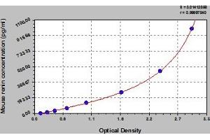 Renin (REN) ELISA Kit