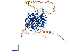 AlphaFold protein structure predicition of Human Recombinant PCED1A Protein, UniprotID Q9H1Q7